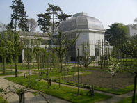 La serre des Jardins Albert Kahn ; cliquer pour agrandir